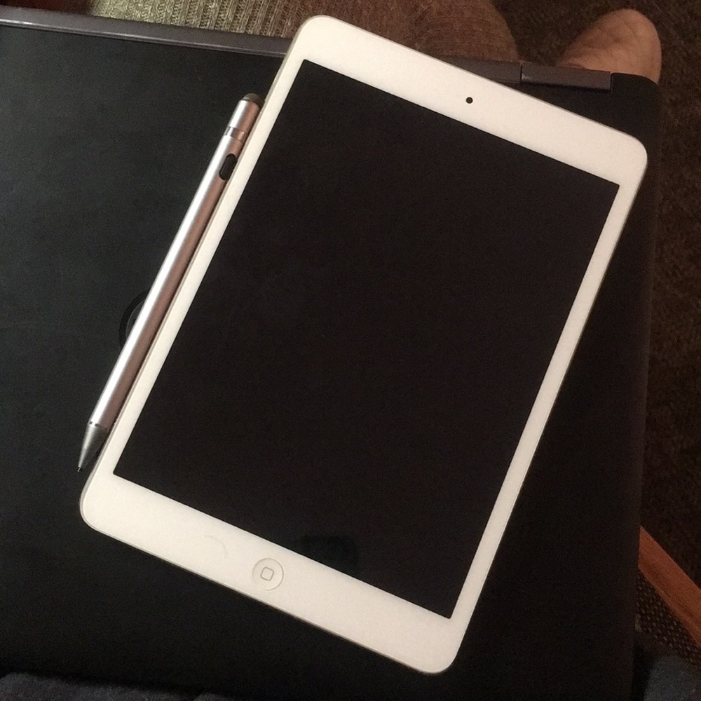 Perfectly Functioning IPad Mini 2 and Stylus